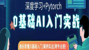 零基础AI入门实战(深度学习+Pytorch) 通俗易懂零基础入门案例实战跨专业提升-shaocun资源站