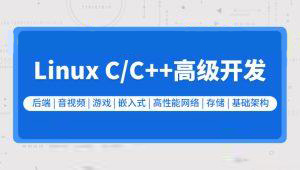 零声教育-新版Linux C C++高级全栈开发（后端-游戏-嵌入式-高性能网络-存储-基础架构）-shaocun资源站