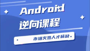 Android逆向从入门到高级VIP视频-shaocun资源站