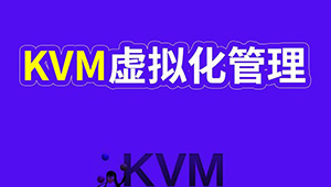 大厂Data Center KVM虚拟化技术 深入KVM虚拟化基实战部署 数据中心效能提升大揭秘-shaocun资源站