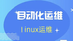 老男孩： Linux王牌自动化班89期， SRE运维视频课程-shaocun资源站