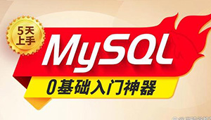 2024新版MySQL速通视频教程-shaocun资源站