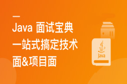 2024 Java 高分面试宝典 一站式搞定技术面&项目面-shaocun资源站