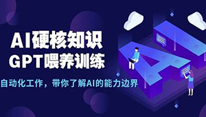 AI硬核知识-GPT喂养训练，自动化工作，带你了解AI的能力边界-shaocun资源站