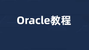 Oracle关系型数据库2023版-shaocun资源站