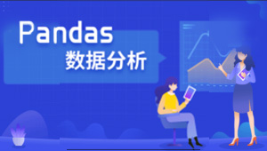 Pandas数据分析实战-shaocun资源站