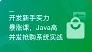 SpringBoot3+Vue3 开发高并发秒杀抢购系统-shaocun资源站