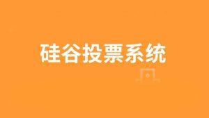 【尚硅谷】尚硅谷_区块链项目：硅谷投票系统 – 带源码课件-shaocun资源站