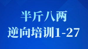 半斤八两逆向培训1-27-shaocun资源站