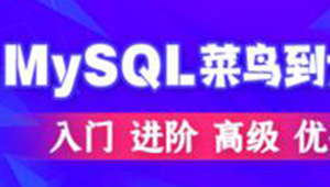 Mysql优化高级技巧、经典案例与专题 61课-shaocun资源站