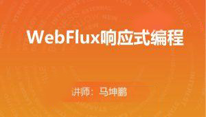 WebFlux响应式编程-shaocun资源站