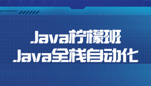 Java柠檬班Java全栈自动化-shaocun资源站