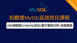 知数堂MySQL实战优化课程-shaocun资源站