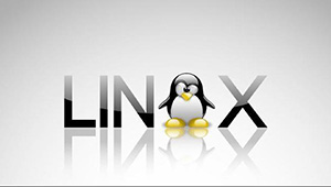 Linux基础命令讲解-shaocun资源站