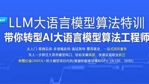 LLM大语言模型算法特训 带你转型AI大语言模型算法工程师-shaocun资源站