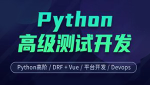 柠檬班-Python测试开发 后端课程（14期）-shaocun资源站