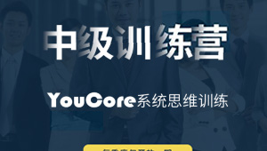 YouCore系统思维中级训练营-shaocun资源站