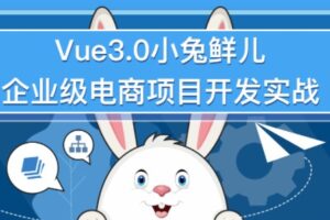 Vue3 + ElementPlus + Pinia 小兔鲜电商项目 2023版-shaocun资源站