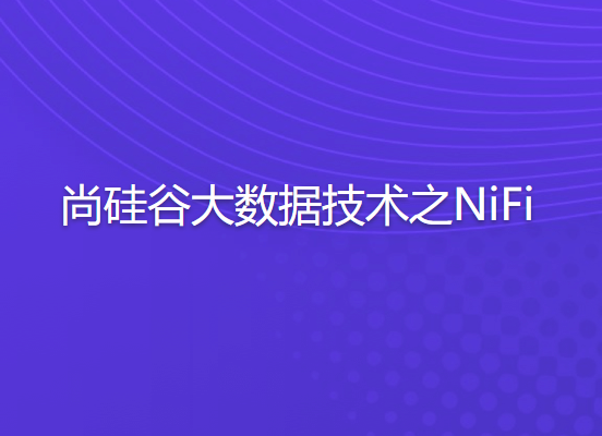 尚G谷大数据技术之NiFi-shaocun资源站