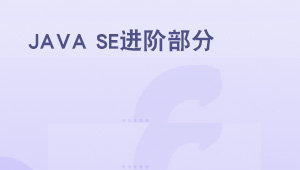 JavaSE进阶实战-shaocun资源站