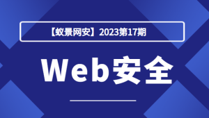 【蚁景网安】2023第17期Web安全-shaocun资源站