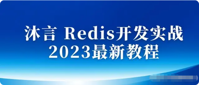 Redis开发实战 2023最新教程-shaocun资源站