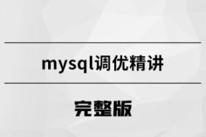 精通mysql调优大师【马S兵】| 网盘无密-shaocun资源站