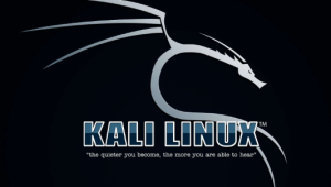 最全的KALI&BT5 linux网络攻防教程-shaocun资源站