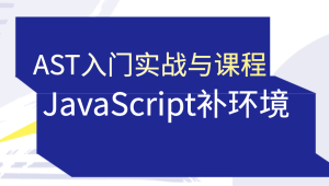 蔡老板-AST入门实战与JavaScript补环境课程-shaocun资源站