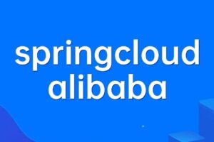 springcloud alibaba 【马S兵教育】| 网盘无密-shaocun资源站