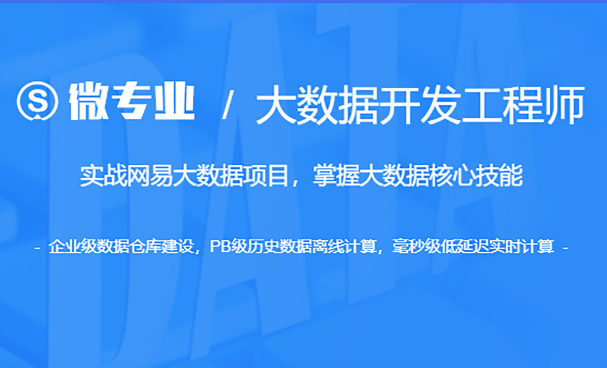 网易云微专业-大数据开发工程师|价值14500元|重磅首发|课件齐全|13章完结无秘-shaocun资源站