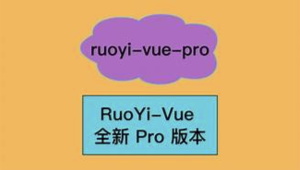 RuoYi-Vue 全新 Cloud 版本，优化重构所有功能-shaocun资源站