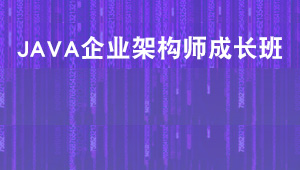 Java企业级架构师成长班-shaocun资源站