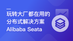 一课学透 分布式事务框架 Alibaba Seata-shaocun资源站