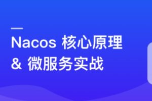 Nacos 核心原理解读+高性能微服务系统实战（网盘无密）-shaocun资源站