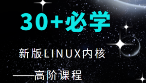 30+程序必学 新版LINUX内核高阶课程-shaocun资源站