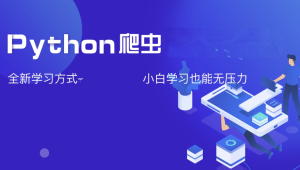 夜猫编程Python爬虫JS逆向进阶课(录播课＋答疑)从零基础到高薪就业编程课-shaocun资源站