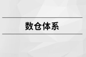 马S兵教育-数仓体系|最新完结无密-shaocun资源站