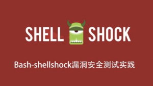 Bash-shellshock漏洞安全测试实践-shaocun资源站