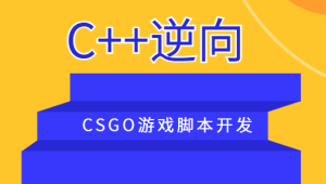 C++逆向CSGO游戏脚本开发-shaocun资源站