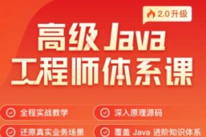 高级Java工程师体系课2.0 | 网盘高清-shaocun资源站