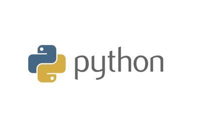 小飞有点东西 三门Python实战课-shaocun资源站