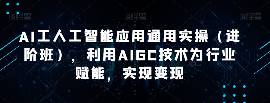 AI工人工智能应用通用实操（进阶班）-shaocun资源站