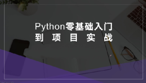 硅量科技-Python从入门到项目实战-shaocun资源站