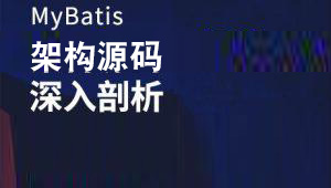 MyBatis架构源码深入剖析-shaocun资源站