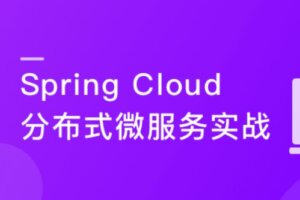 2022升级-SpringCloud进阶Alibaba微服务体系自媒体实战|26章完结无秘-shaocun资源站