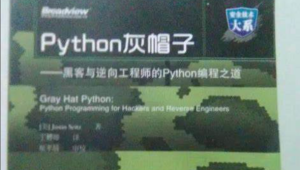 Python灰帽子网络安全实践-shaocun资源站