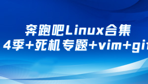 奔跑吧Linux社区合集 第1+2+3+4季+死机专题+RISC-V高级+arm64高级+vim+git-shaocun资源站