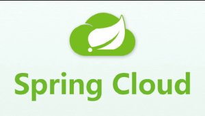 尚硅谷2024最新版SpringCloud教程-shaocun资源站