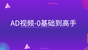 AD视频-0基础到高手-shaocun资源站